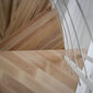 Keerdtrepp Minka Venezia, Ø140 cm, komplekti kõrgus: 309 cm, valge hind ja info | Trepid | kaup24.ee