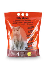 Kassiliiv räniteemantid Kitty Clean 1.4 kg цена и информация | Наполнители для кошачьих туалетов | kaup24.ee