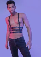Мужской кожаный бондажный ремень цена и информация | Сексуальное бельё для мужчин | kaup24.ee