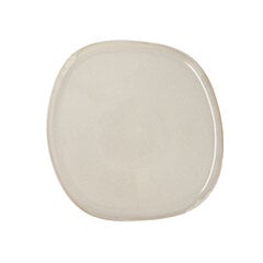 Плоская тарелка Bidasoa Ikonic (26,5 x 25,7 x 1,5 см)  цена и информация | Посуда, тарелки, обеденные сервизы | kaup24.ee