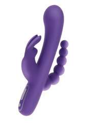 Silikoonist USB vibraator Toy Joy Rabbit Triple Pleasure, lilla цена и информация | Вибраторы | kaup24.ee