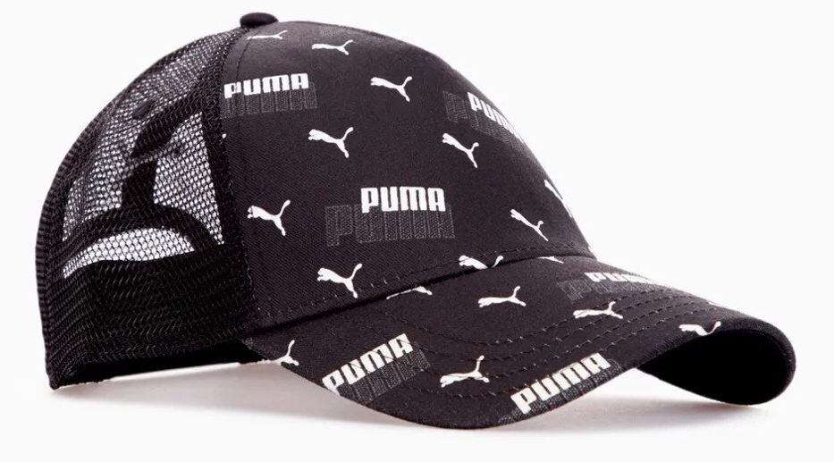 Puma nokamüts naistele 024362*01, mitmevärviline 4065452953836 hind ja info | Naiste mütsid ja peapaelad | kaup24.ee