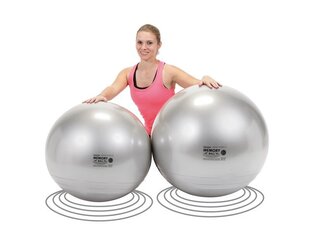 Võimlemispall Mermory Ball 65 cm, hall цена и информация | Гимнастические мячи | kaup24.ee