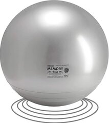 Võimlemispall Mermory Ball 65 cm, hall цена и информация | Гимнастические мячи | kaup24.ee