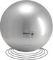 Võimlemispall Mermory Ball 65 cm, hall цена и информация | Võimlemispallid | kaup24.ee