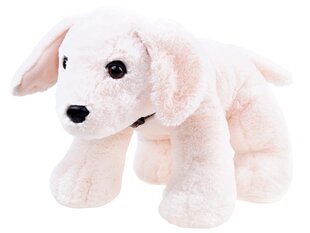 Плюшевая собака, 45 см цена и информация | Мягкие игрушки | kaup24.ee