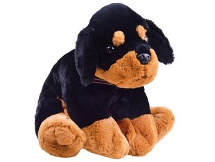 Плюшевая собака, 45 см цена и информация | Мягкие игрушки | kaup24.ee