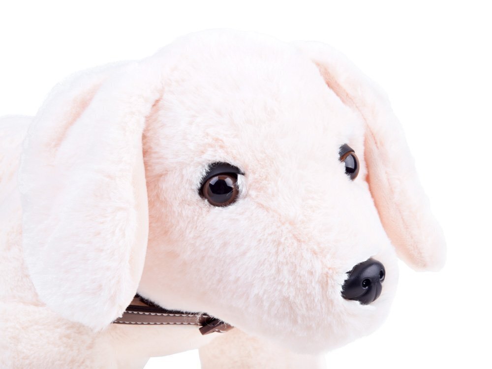 Pluusi koer, 45 cm hind ja info | Pehmed mänguasjad | kaup24.ee