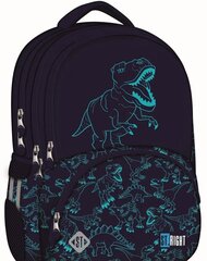 Seljakott Dinosaurustega цена и информация | Школьные рюкзаки, спортивные сумки | kaup24.ee