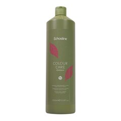 Шампунь для окрашенных волос Echosline Colour Care Shampoo, 1000 мл цена и информация | Шампуни | kaup24.ee