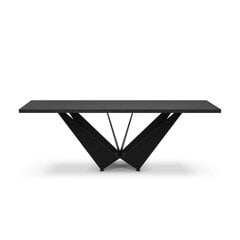Обеденный стол Micadoni Home Lottie 220x100см, черный цвет цена и информация | Кухонные и обеденные столы | kaup24.ee