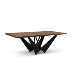 Обеденный стол Micadoni Home Lottie 220x100 см, темно-коричневый/черный цвет цена и информация | Кухонные и обеденные столы | kaup24.ee