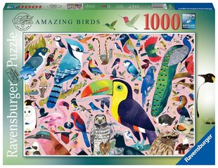 Пазл Ravensburger: необычные птицы, 1000 д. цена и информация | Пазлы | kaup24.ee