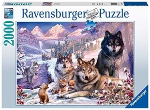 Пазл Ravensburger Wolves in the Snow, 2000 д. цена и информация | Пазлы | kaup24.ee