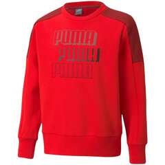 Puma Džemprid Alpha Crew Red hind ja info | Poiste kampsunid, vestid ja jakid | kaup24.ee