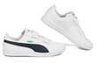 Puma Jalatsid UP V Ps White 373602 27 hind ja info | Laste spordijalatsid | kaup24.ee