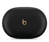 Beats Studio Buds Black MQLH3ZM/A цена и информация | Kõrvaklapid | kaup24.ee