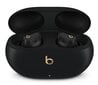 Beats Studio Buds Black MQLH3ZM/A цена и информация | Kõrvaklapid | kaup24.ee