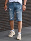 Lühikesed püksid meestele Integral Sinine S-1031/BLUE-2 hind ja info | Meeste lühikesed püksid | kaup24.ee