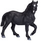 Hobuse kujuke Small Foot Percheron hind ja info | Arendavad mänguasjad | kaup24.ee