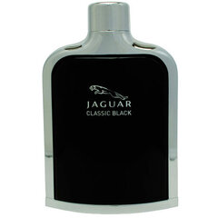 Tualettvesi meestele Jaguar Classic Black EDT, 40 ml hind ja info | Meeste parfüümid | kaup24.ee