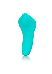 Vibraator Slay Pleaser, sinine hind ja info | Vibraatorid | kaup24.ee