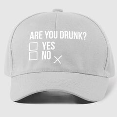 Кепка Are you drunk?, пепельный цвет цена и информация | Оригинальные шапки | kaup24.ee