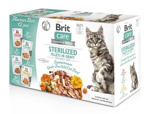 Корм Brit Care с разными вкусами, 12х85г цена и информация | Кошачьи консервы | kaup24.ee