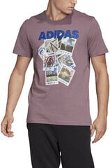 Adidas Футболка Doodle Photos Purple FN1718/L цена и информация | Мужские футболки | kaup24.ee