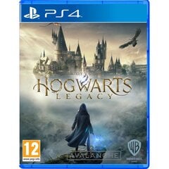 Hogwarts Legacy PS4 цена и информация | Компьютерные игры | kaup24.ee