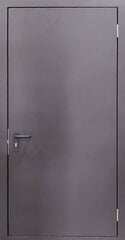Техническая, металлическая дверь 22-114/1 950 х 2000 (Левая) цена и информация | Уличные двери | kaup24.ee