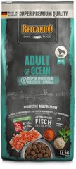 Belcando Adult GF Ocean для собак с повышенным или нормальным уровнем активности с рыбой 12.5 кг цена и информация | Сухой корм для собак | kaup24.ee