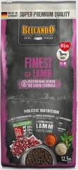 Belcando Finest GF Lamb для взрослых собак мелких и средних пород с ягненком 12,5 кг цена и информация |  Сухой корм для собак | kaup24.ee