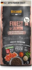 Belcando Finest GF Salmon для взрослых собак мелких и средних пород с лососем 1 кг цена и информация | Сухой корм для собак | kaup24.ee