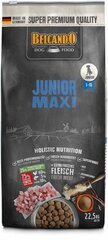 Belcando Junior Maxi suurte ja hiiglaslike tõugude koertele 4-18 kuud 22,5 kg цена и информация | Сухой корм для собак | kaup24.ee