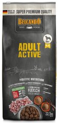 Belcando Adult Active keskmise ja suure tõuga aktiivsetele koertele 22,5 kg цена и информация | Сухой корм для собак | kaup24.ee