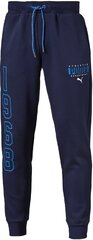 Püksid meestele Puma Athletic Pants Cl 838342 06/S цена и информация | Мужская спортивная одежда | kaup24.ee