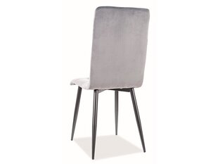 Набор из 4 обеденных стульев Signal Otto Velvet, зеленый/черный цвет цена и информация | Стулья для кухни и столовой | kaup24.ee