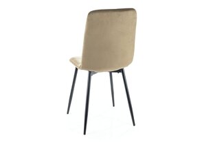 Söögitoolide komplekt Signal Ivo Velvet, 4 tooli, hall/must hind ja info | Söögilaua toolid, köögitoolid | kaup24.ee