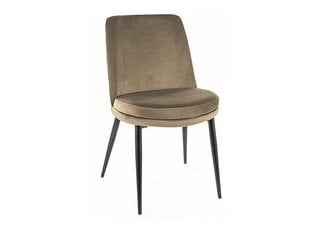 Набор из 4 обеденных стульев Signal Kayla Velvet, зеленый/черный цвет цена и информация | Стулья для кухни и столовой | kaup24.ee