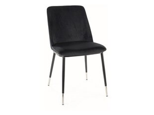 Набор из 4 обеденных стульев Signal Jill Velvet, черный цвет цена и информация | Стулья для кухни и столовой | kaup24.ee