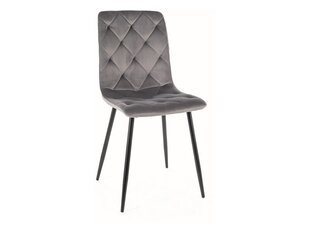 Набор из 4 обеденных стульев Signal Jerry Velvet, серый/черный цвет цена и информация | Стулья для кухни и столовой | kaup24.ee