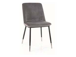 Söögitoolide komplekt Signal Jill Velvet, 4 tooli, hall/must hind ja info | Söögilaua toolid, köögitoolid | kaup24.ee