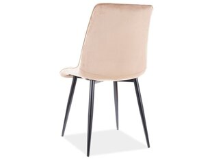 Söögitoolide komplekt Signal Chic Velvet, 4 tooli, hall/must hind ja info | Söögitoolid, baaritoolid | kaup24.ee