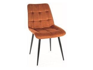 Söögitoolide komplekt Signal Chic Velvet, 4 tooli, oranž/must hind ja info | Söögilaua toolid, köögitoolid | kaup24.ee