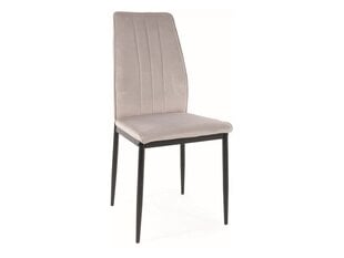 Söögitoolide komplekt Signal Atom Velvet, 4 tooli, hall/must hind ja info | Söögilaua toolid, köögitoolid | kaup24.ee