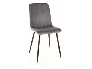 Набор из 4-х обеденных стульев Signal Alan Velvet, серый/черный цвет цена и информация | Стулья для кухни и столовой | kaup24.ee