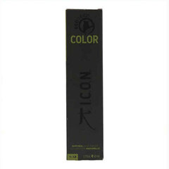 Ammoniaagivaba juuksevärv Color Ecotech Icon Nº 10.2 (60 ml) hind ja info | Juuksevärvid | kaup24.ee