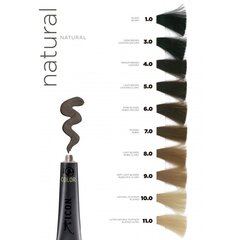 Ammoniaagivaba juuksevärv Color Ecotech Icon Nº 10.2 (60 ml) hind ja info | Juuksevärvid | kaup24.ee