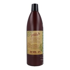 Juuste oksüdeerija Emulsion Pure Green 20 Vol 6 % (1000 ml) hind ja info | Juuksevärvid | kaup24.ee